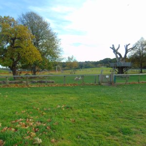 Community leading improvements at Slades Park