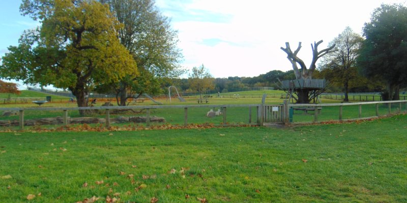 Community leading improvements at Slades Park