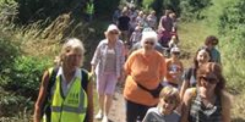 The Great Big Family Health Walk in Gillingham