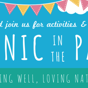 Picnic in the Park is coming to Wimborne this weekend!