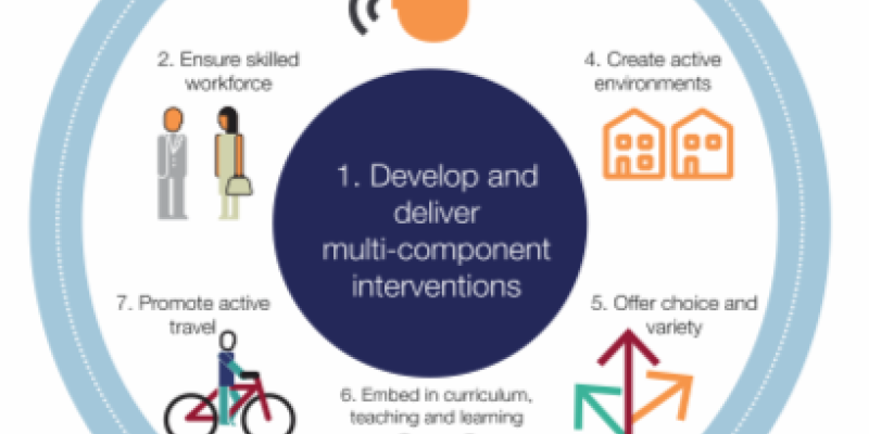 What works in schools and colleges to increase physical activity?