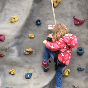 Summary of Dorset Primary PE & School Sport Premium 2018/19