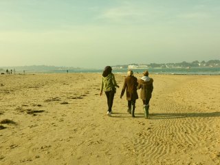 Approach to Whole System Change